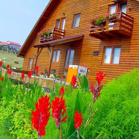 Băile FelixCasa Altius Felixアパートメント エクステリア 写真